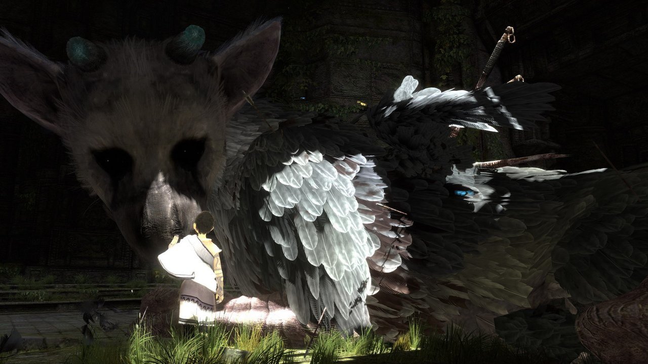 The last guardian сюжет